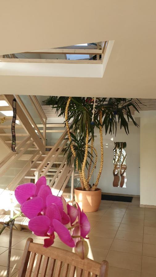 Grande Maison Avec Spa Proche De Caen Et De La Mer Brouay Ngoại thất bức ảnh